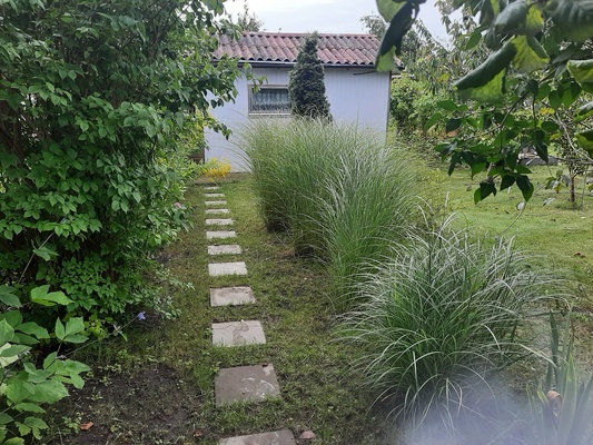 Elbląg 🌳 Do sprzedania działka ROD im. Kosynierów Gdyńskich w Elblągu, ul. Chrobrego! 🌳Wyjątkowa