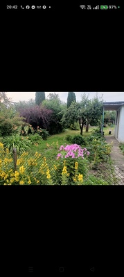Elbląg Działka Rod, bielany, prąd, woda, altanka murowana