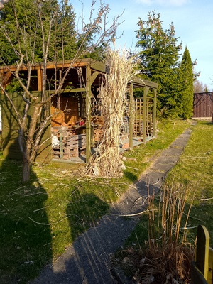 Elbląg Sprzedam prawa do działki ogrodowej ROD im Dąbrowskiego. Powierzchnia 309m² cena 10tys do małej negocjacji. Na