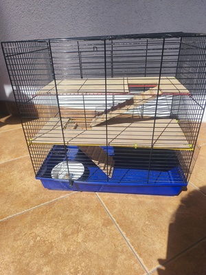 Elbląg Sprzedam klatkę dla chomika, szczura, myszki.
Wymiary 48.5*31*50
Dodatkowo pakiet startowy: domki, miseczki,