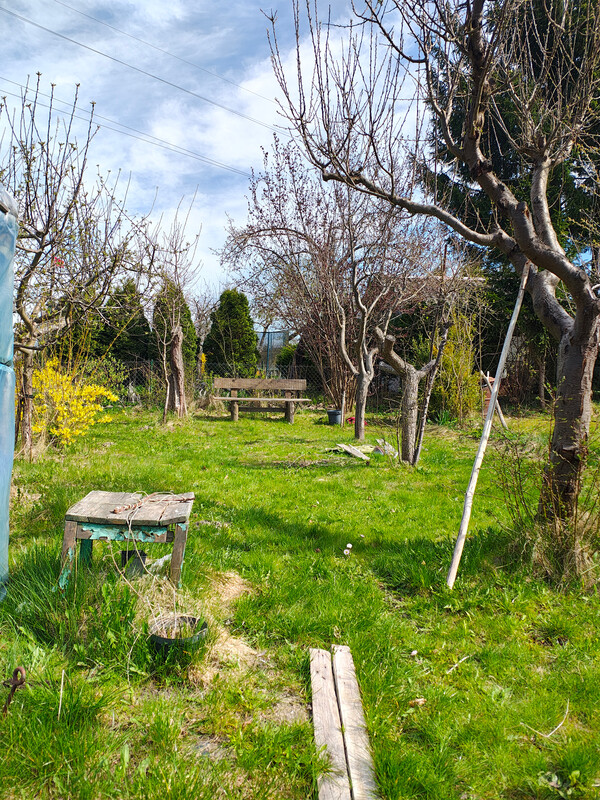 Elbląg Sprzedam ogród 500 m