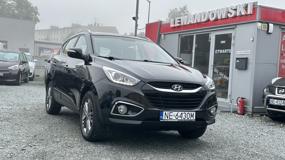 Elbląg Auto Leew LEWANDOWSKI Kupujemy i Sprzedajemy tylko dobre auta Za auta z Polskiego Salonu Płacimy Najwięcej