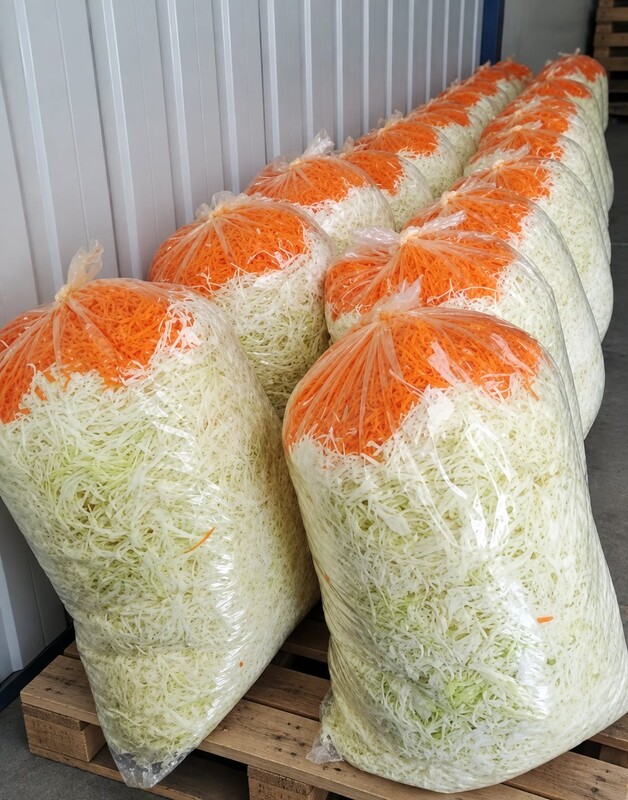 Elbląg KAPUSTA SZATKOWANA 10 KG ELBLĄG – DOWÓZ GRATIS!