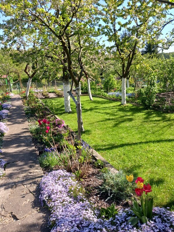 Elbląg Sprzedam działkę ROD&nbsp; 