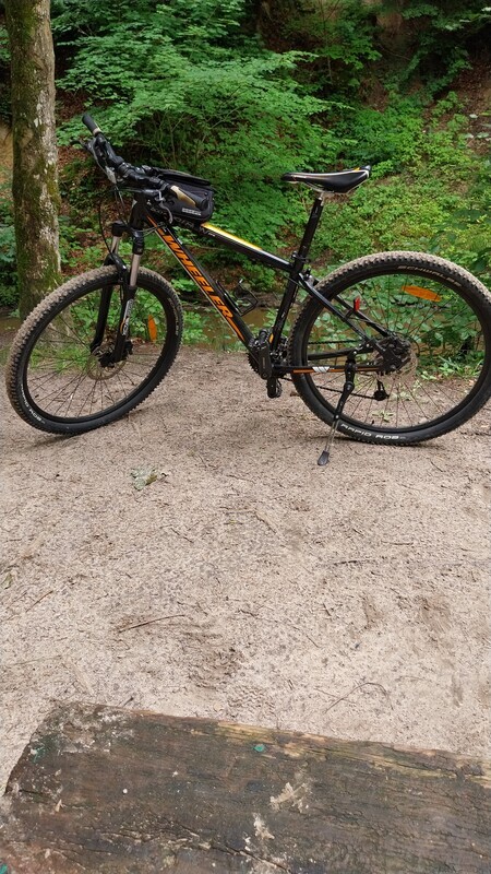 Elbląg Wheeler koła 29