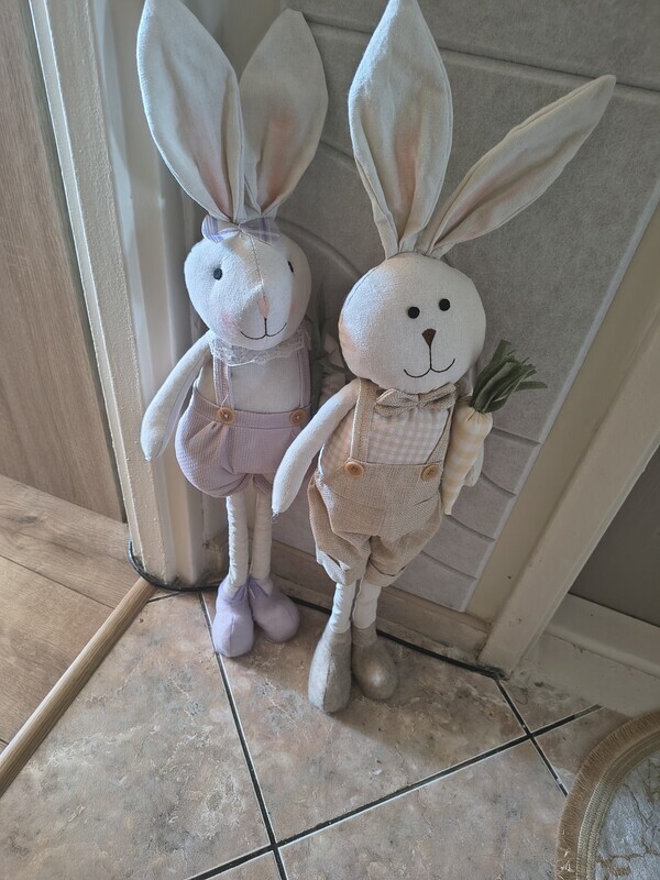 Elbląg Zające 20 zł szt