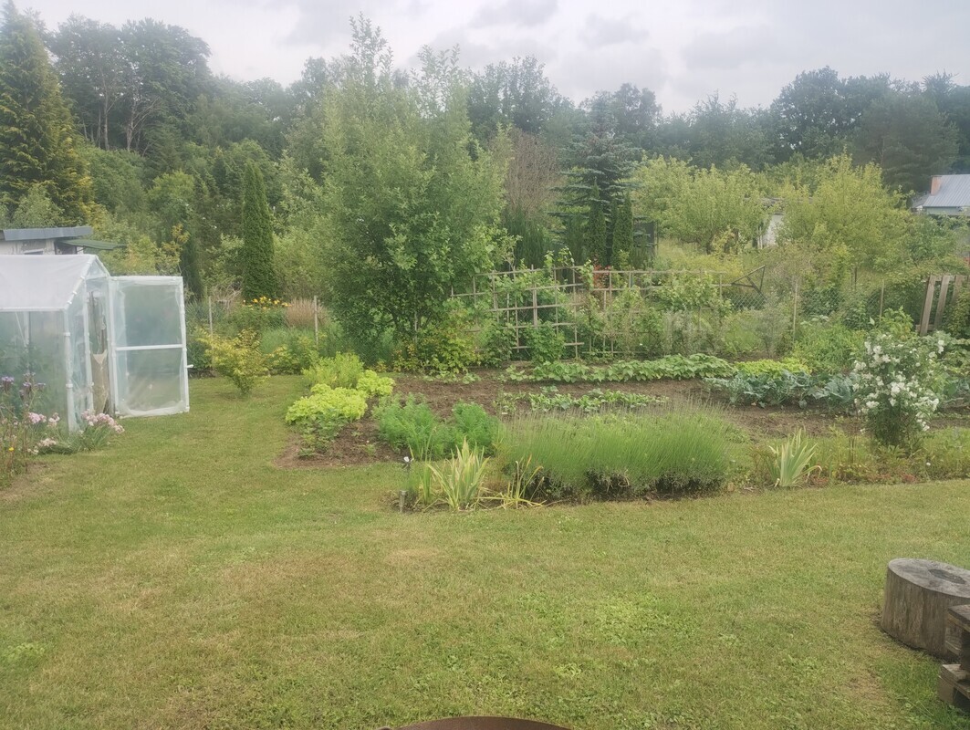 Elbląg Działka ROD, TRANSBUD. WODA PRĄD NA DZIAŁCE. DOJAZD POD SAMĄ DZIAŁKĘ.