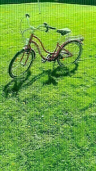 Elbląg Sprzedam rower młodzieżowy Maxim, MJ 4.6,koła 24, różowy, mało używany.