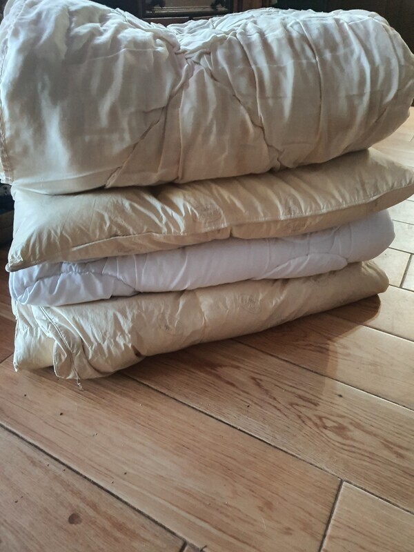 Elbląg Oddam dla piesków 3 kołdry i poduszkę.