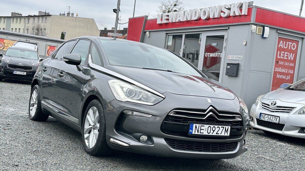 Elbląg &nbsp; &nbsp; &nbsp; &nbsp; &nbsp; &nbsp; &nbsp; &nbsp; &nbsp; &nbsp;