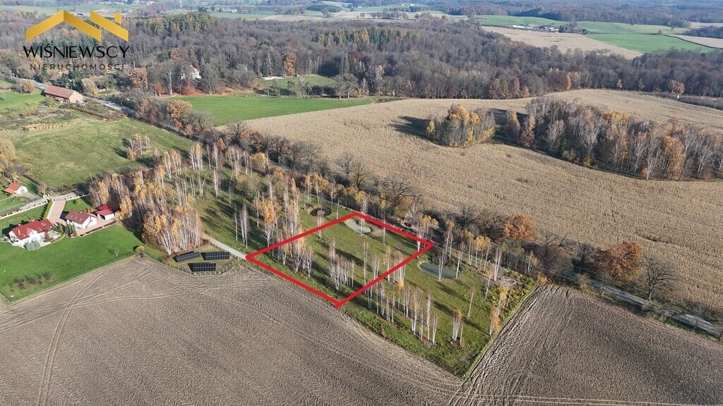 Elbląg WIŚNIEWSCY NIERUCHOMOŚCI Sp. z o.o.Sprzedam działkę - Dawidy. Oferta sprzedaży działki rolnej z wydaną