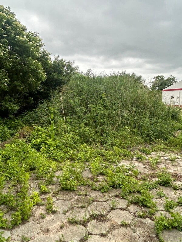 Elbląg 🌱 Oddam ziemię z elementami gruzu – idealna na podwyższenie terenu! 🚛
Możliwość zabrania