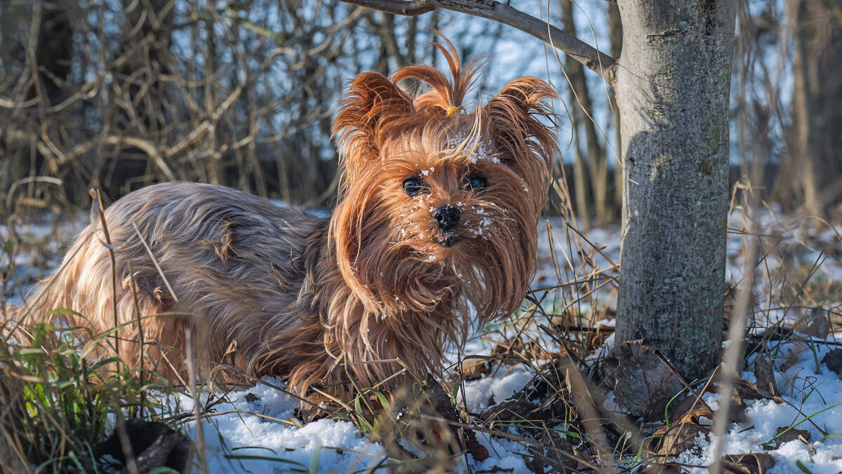 Elbląg USŁUGI FOTO-VIDEO