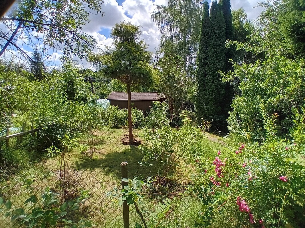 Elbląg 🌳 Wyjątkowo duża, piękna działka z altanką w okazyjnej cenie w ROD Moniuszki przy Parku Wodnym