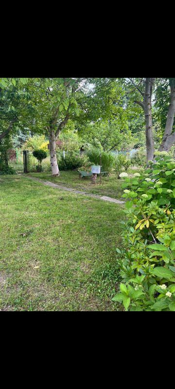 Elbląg Sprzedam działkę 300 M2 Rod Bielany Spółdzielca. Na działce altana murowana, prąd, woda, dużo drzew (orzech,