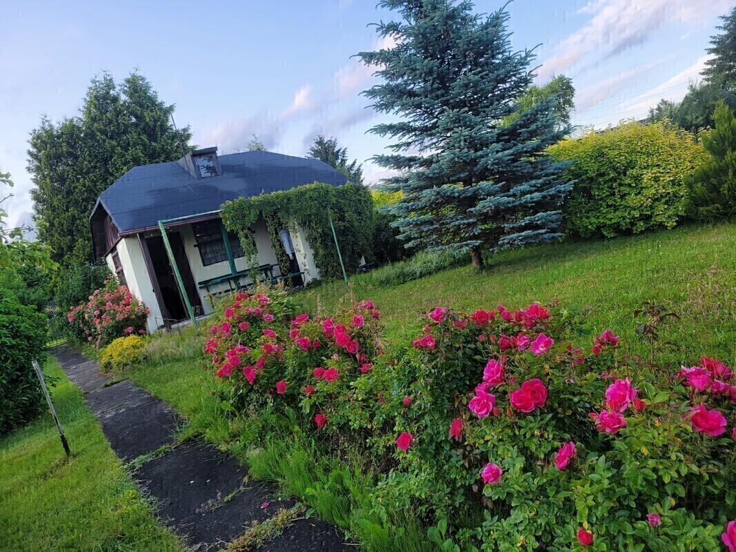 Elbląg Sprzedam zadbaną działkę ogrodniczą w ROD BRATEK 500 m2 (prąd + woda)