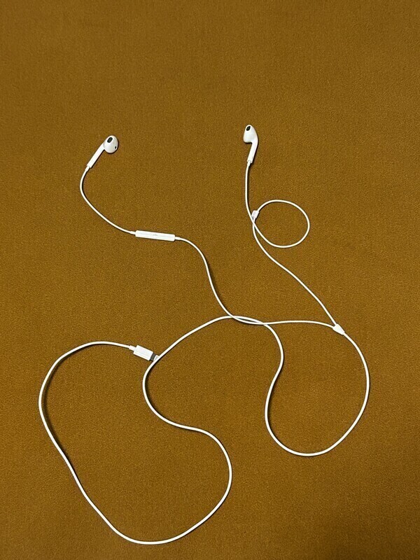 Elbląg Sprzedam słuchawki Apple EarPods Lighting, leżały cały czas w szafce i bardzo mało używane
płatność: przelew na