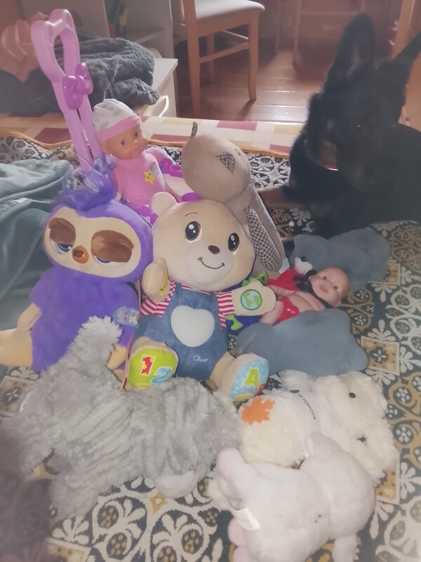 Elbląg Oddam zabawki w dobrym stanie za darmo