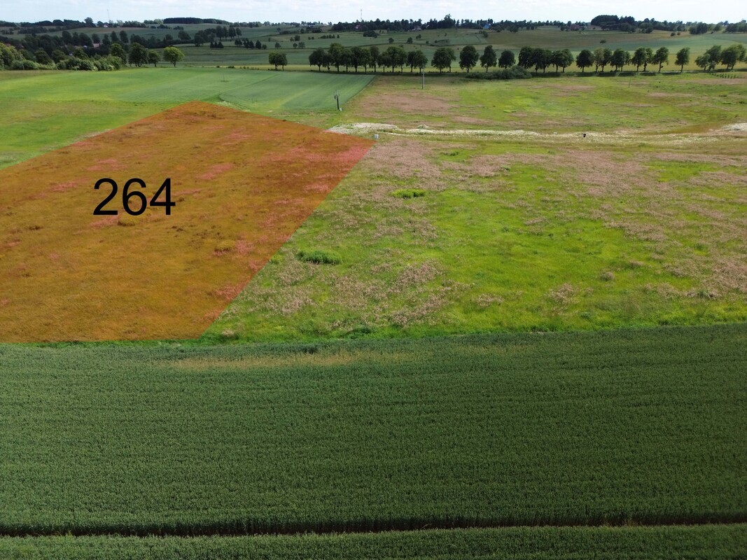 Elbląg NIERUCHOMOŚCI ANNA KRASZEWSKA  Działka budowlana o pow.9645 m2  na nowopowstającym osiedlu domów