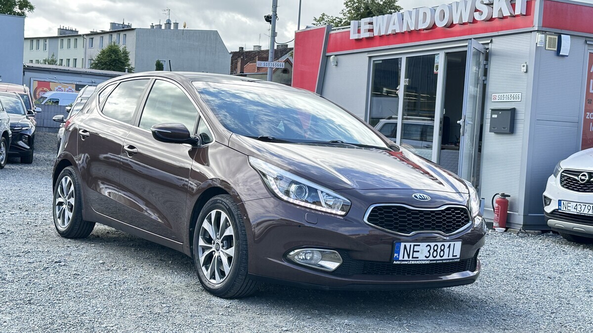 Elbląg &nbsp; &nbsp; &nbsp; &nbsp; &nbsp; &nbsp; &nbsp; &nbsp; &nbsp; &nbsp;Auto&nbsp;Leew&nbsp;LEWANDOWSKI&nbsp;