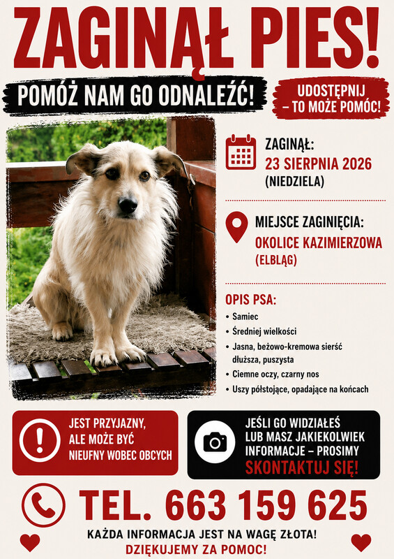 Elbląg Zaginął pies Kamel. Może ktoś widział???