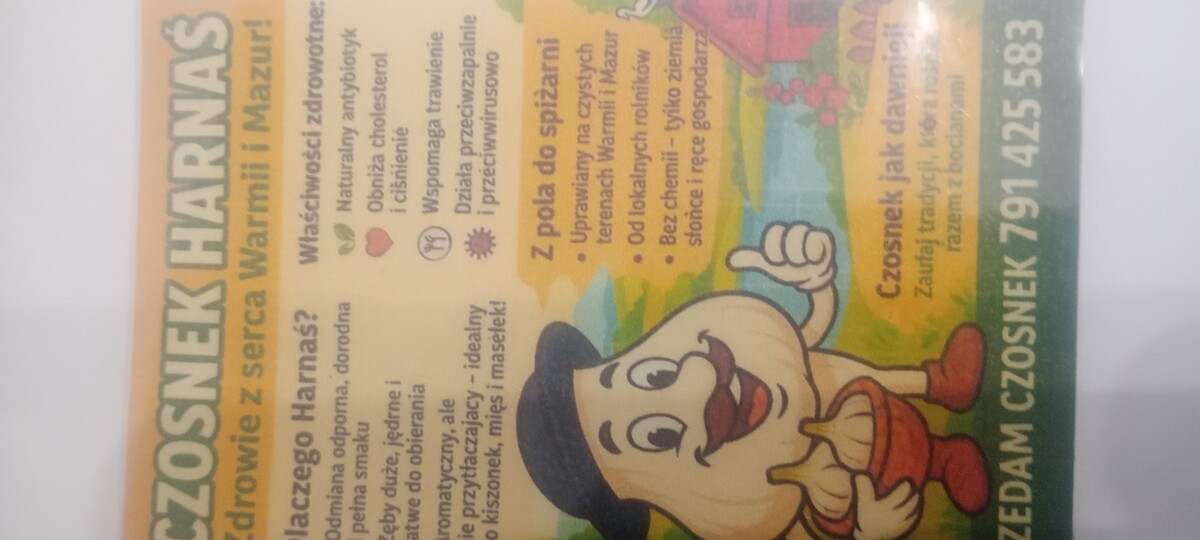 Elbląg Czosnek Harnaś ozimy
Z własnej uprawy bez chemii
Uprawa
Janowo przy rzece Nogat
Odbiór osobisty w Elblągu 
lub