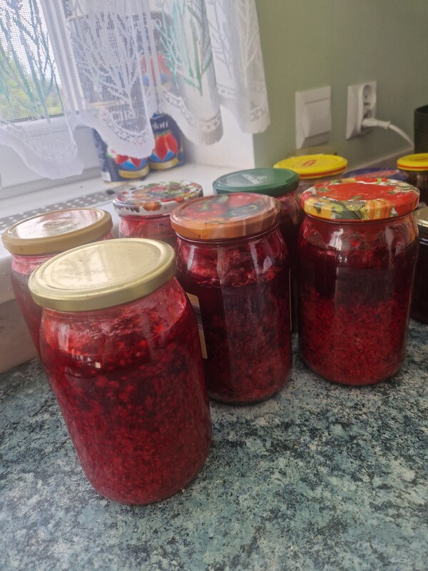 Elbląg Domowy dżem z malin z własnego ogrodu ( bez oprysków) Skład: 1kg malin 30 dag cukru 1.opakowanie Dżemiksu z