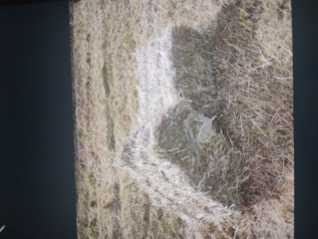 Elbląg SIANO Kostka pogodne, suche pachnące dobrej jakości. Możliwy transport.