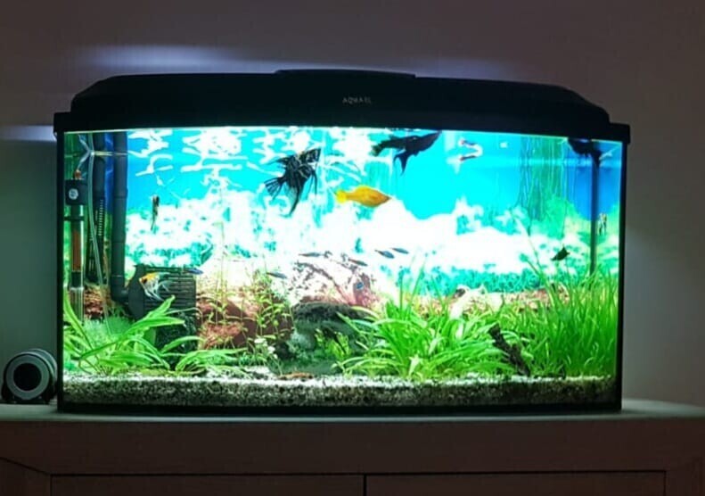 Elbląg Akwarium 105 litrów plus filtry
