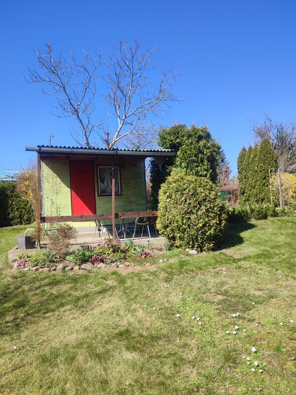 Elbląg Ogródek działkowy ROD Tęcza I