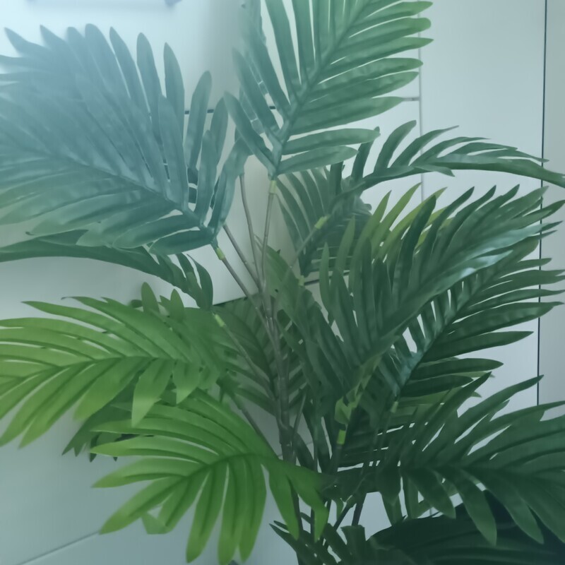 Elbląg Sprzedam piękna sztuczna palma Areka o wysokości 95 cm. Roślina posiada aż 24 duże, realistycznie wykonane