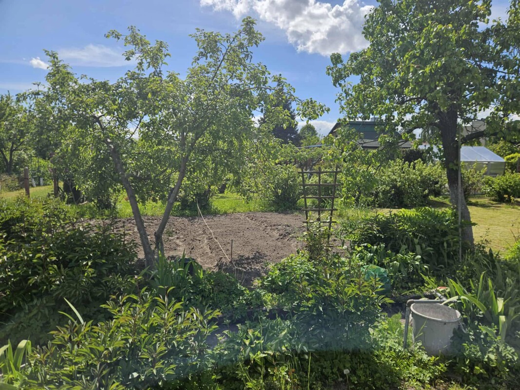 Elbląg Sprzedam działkę ROD Sprzedam działkę na Ogródkach działkowych Żwirki i Wigury w Elblągu przy ulicy Skrzydlatej