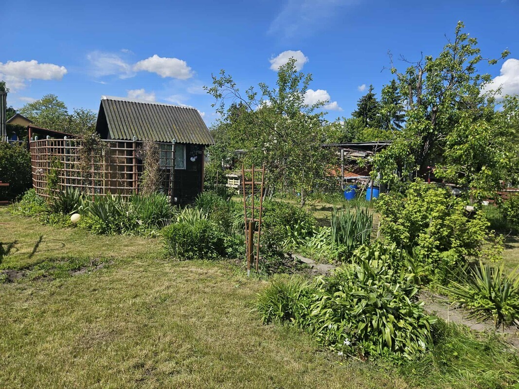 Elbląg Sprzedam działkę na Ogródkach działkowych Żwirki i Wigury w Elblągu przy ulicy Skrzydlatej pow dzialki 380 m2