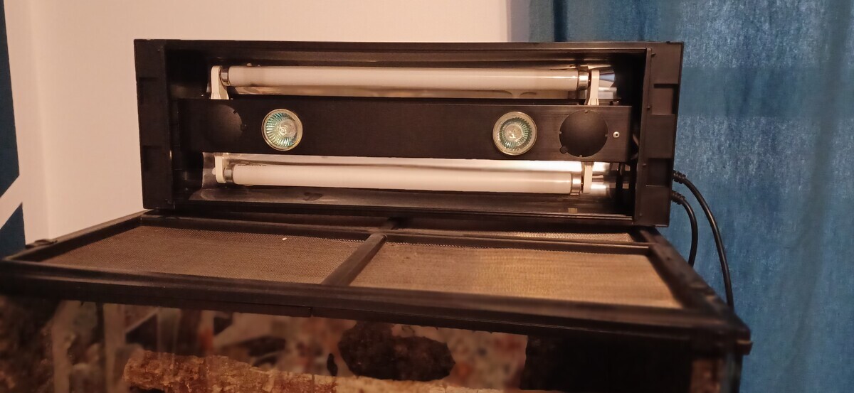 Elbląg Witam, sprzedam terrarium exo terra 45x45x60 z lampą oświetleniową. Cena 300zl