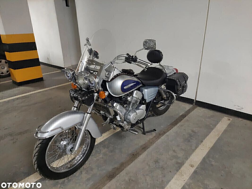 Elbląg 🏍️ HONDA SHADOW 125ccm. Rok produkcji: 2002 | Przebieg: 13 000 km | Na kategorię: B lub A1