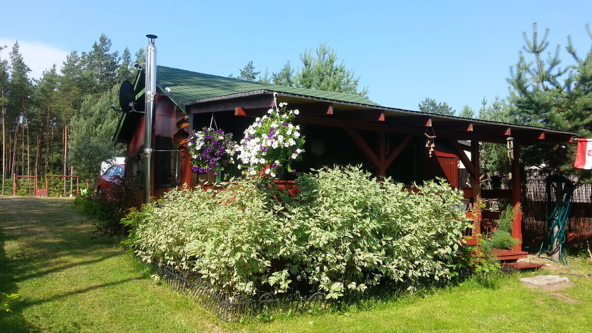 Elbląg WYJĄTKOWA NIERUCHOMOŚĆ W OTOCZENIU LASÓW I JEZIORWIECK / gmina CZERSK / BORY TUCHOLSKIE / 1852 mkw prywatnej