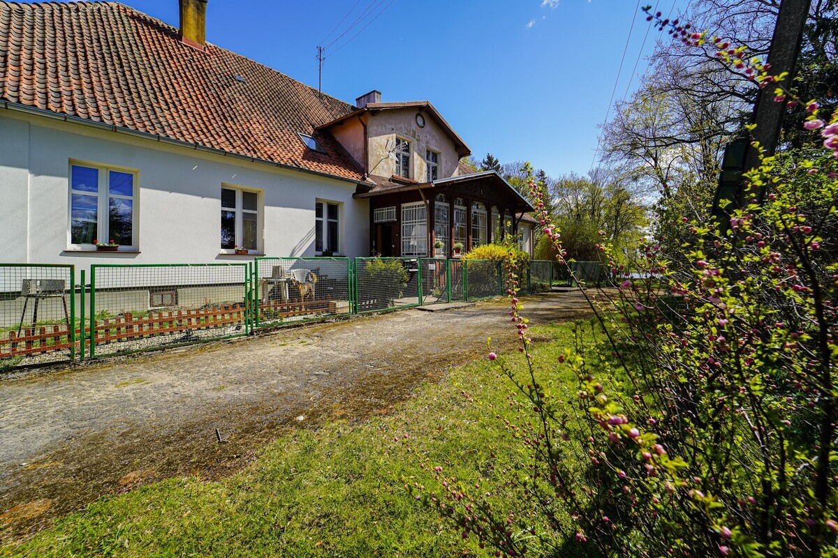 Elbląg 👑🏠&nbsp; KINGDOM&nbsp; 🏠👑NIERUCHOMOŚCI BLISKO CIEBIE&nbsp; DUŻE, &nbsp;