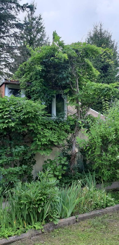 Elbląg Sprzedam ogródek działkowy ROD Słoneczne Wzgórze w Elblągu&nbsp; 