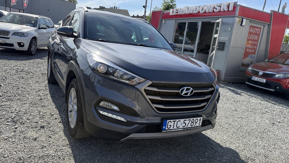 Elbląg Auto Leew LEWANDOWSKI