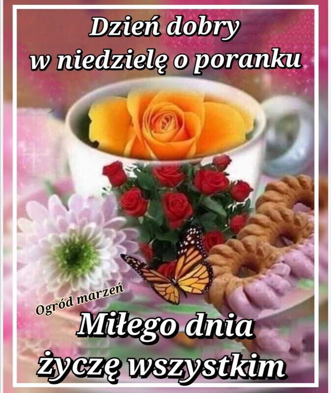 Elbląg Witam serdecznie poznam kobietę na spacer lub rowery osiedle Bielany może jelenia dolina Zapraszam. Reszta w