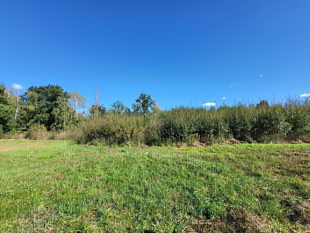 Elbląg AS&nbsp; NIERUCHOMOŚCI&nbsp; POLECAATRAKCYJNA&nbsp; DZIAŁKA BUDOWLANA&nbsp; PRZY&nbsp; LESIE&nbsp; W&nbsp;