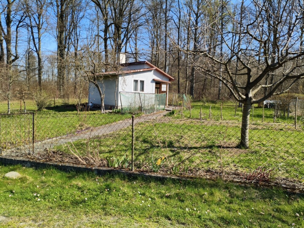 Elbląg 🌳 Sprzedam działkę ROD ZAGAJE (przeniesienie prawa własności) 🌞