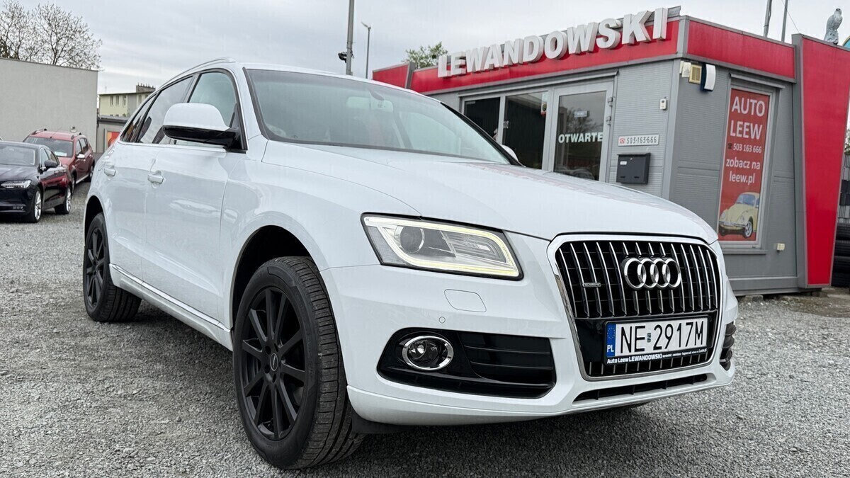 Elbląg Auto Leew LEWANDOWSKI Kupujemy i Sprzedajemy tylko dobre auta Za auta z Polskiego Salonu Płacimy Najwięcej AUDI