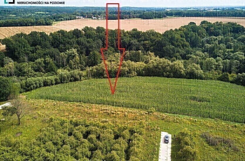 Elbląg LEVEL NIERUCHOMOŚCI&nbsp; Działka z MPZM w Pasłeku&nbsp; Tereny zabudowy mieszkaniowej jednorodzinnej2017