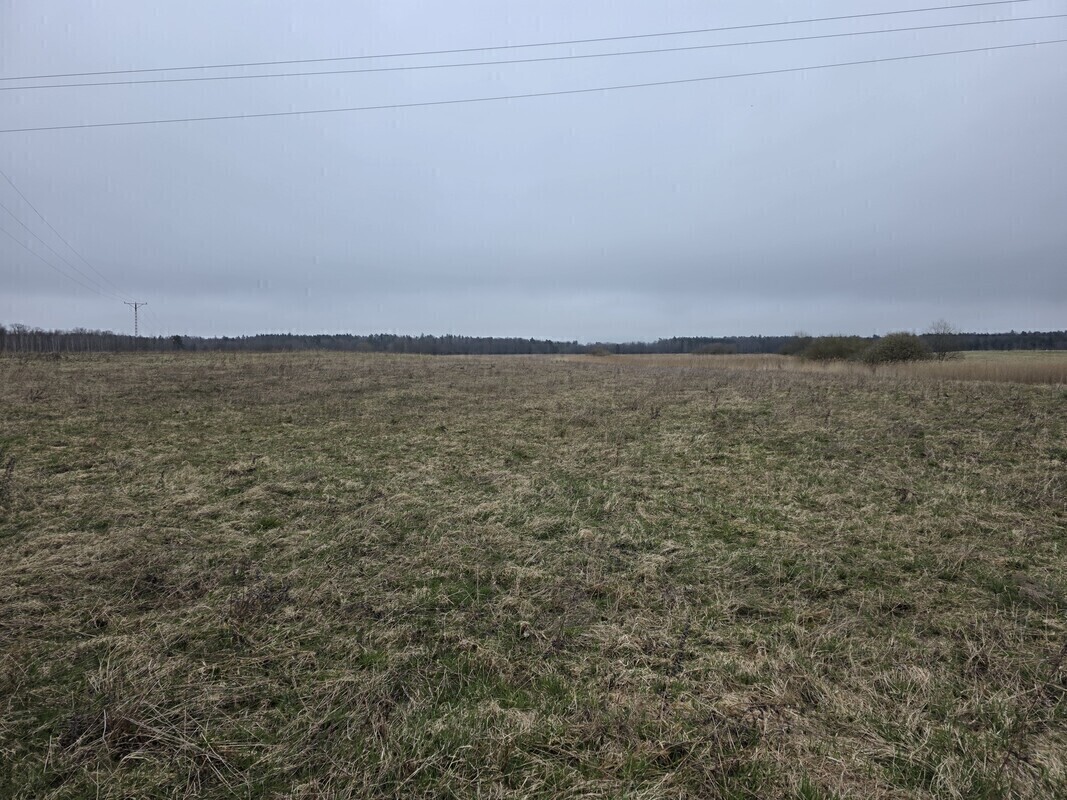 Elbląg MEGA-CONSULT NIERUCHOMOŚCI - WYCENA, SPRZEDAŻ, KUPNO, WYNAJEMOFERUJEGRUNTY ROLNE POŁOŻONE NAD RZEKĄ PASŁĘKĄ