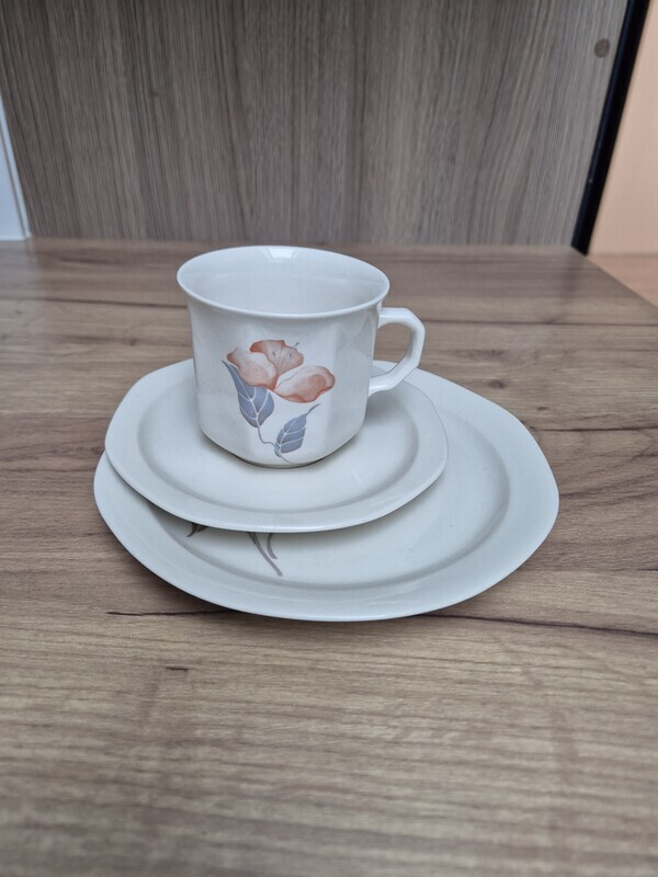 Elbląg Sprzedam komplet 6 szt filizanka spodek i talerzyk deserowy. Porcelana rumuńsa Apulum. 
Stan bardzo dobry