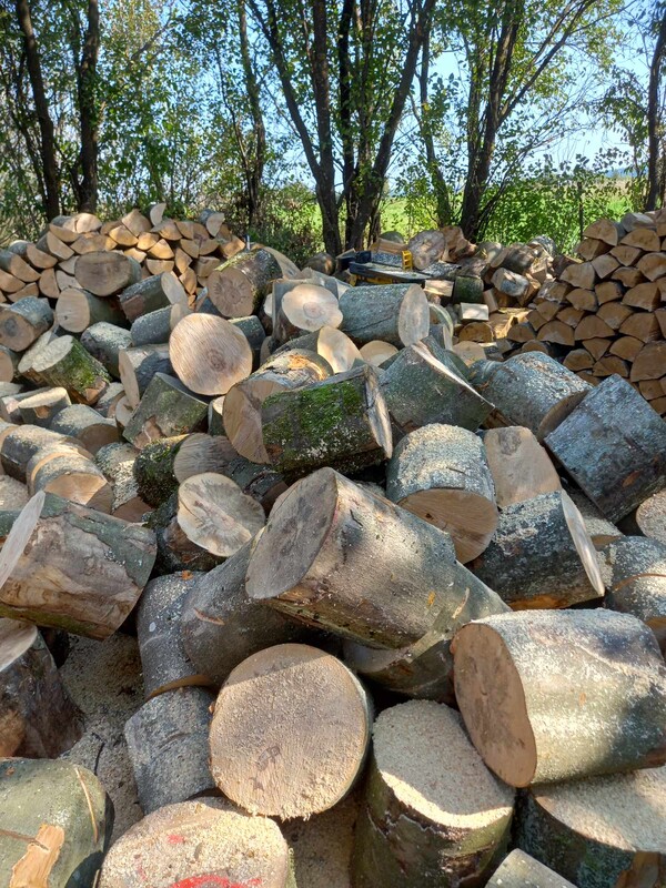 Elbląg Drewno Opałowe I Kominkowe