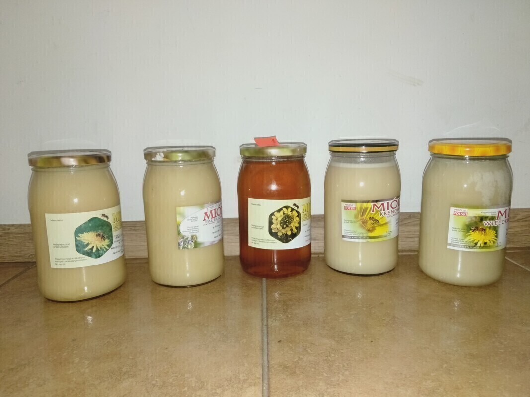 Elbląg Naturalny miod prosto z pasieki, polecam 5 L. po 30 zł. ( Faceliowy, Mniszkowy, Rzepakowy, Wielokwiatowy,