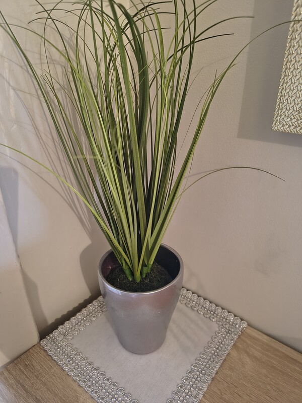 Elbląg Sztuczna trawka z osłonką 20 zł