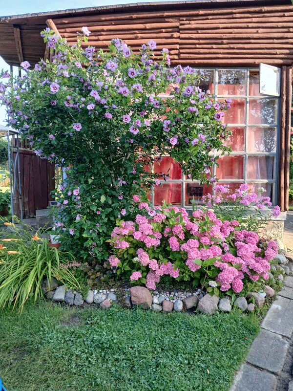 Elbląg Oferuję na sprzedaż działkę ogrodową o powierzchni 500m2,położona na terenie ROD BRATEK w Elblągu. To urokliwe